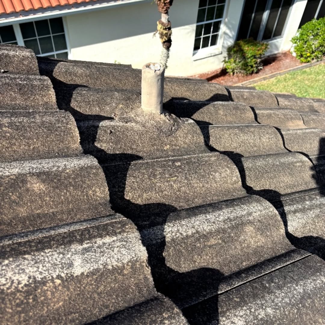 Top Signs Your Roof Needs Soft Washing in Cape Coral, FL