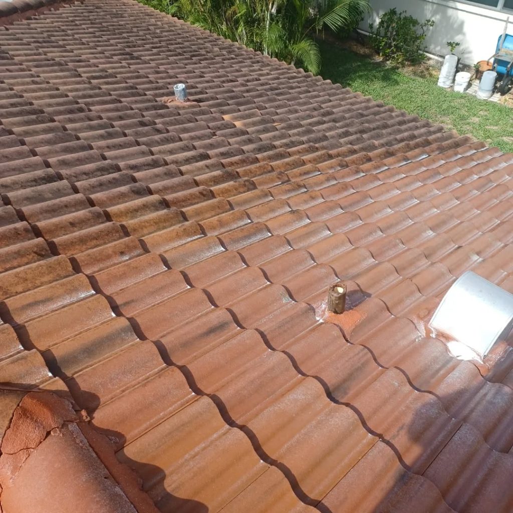 Roof Cleaning in Fort Myers, FL