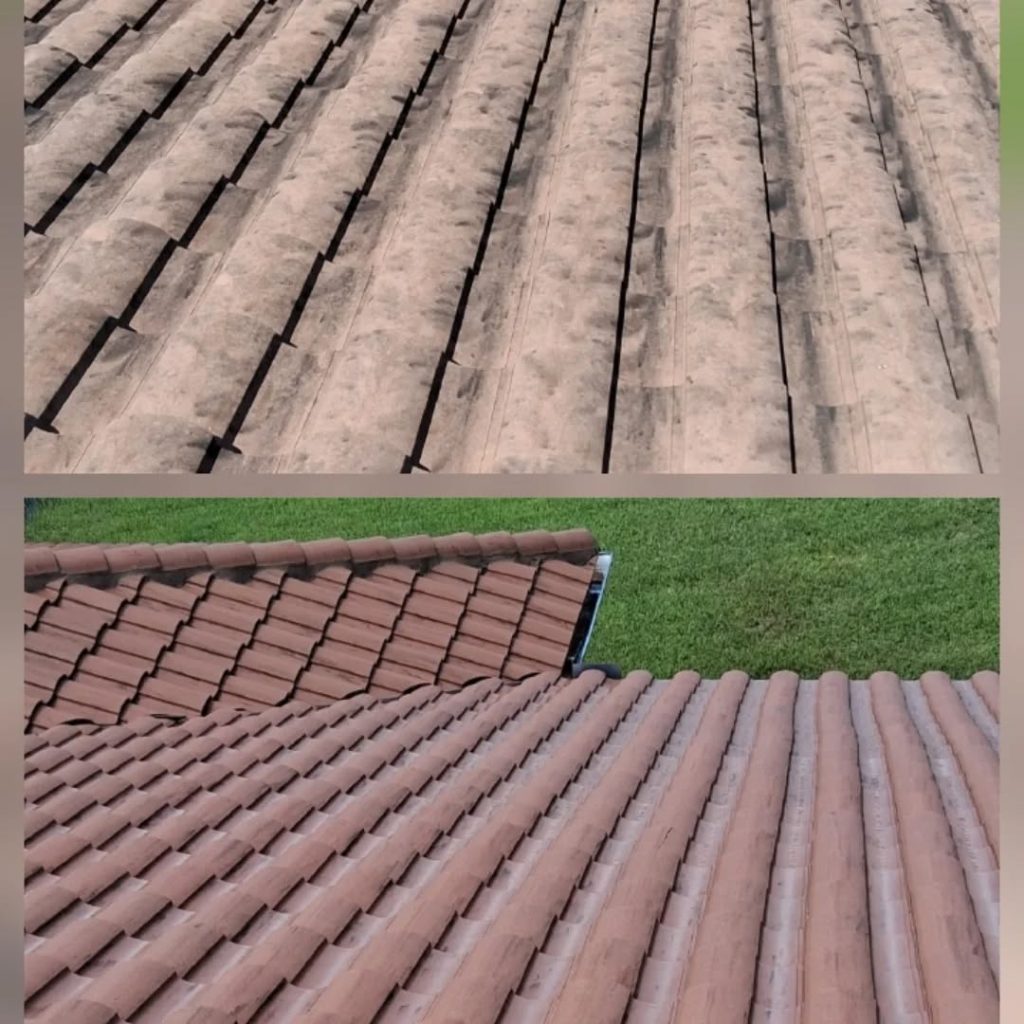 Roof Cleaning in Gateway, FL