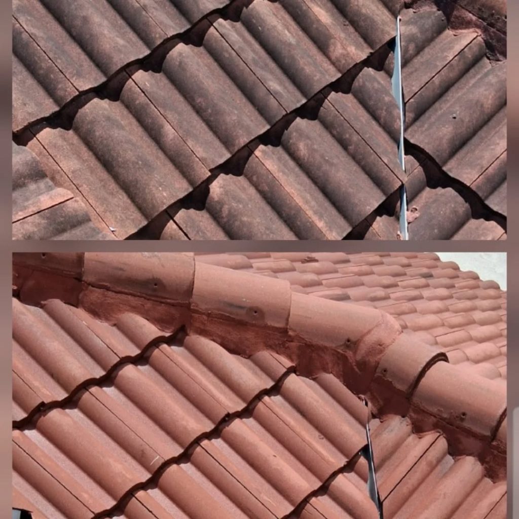 Roof Cleaning in Punta Gorda, FL