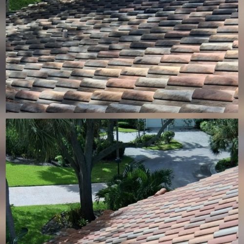 Roof Cleaning in Punta Gorda, FL