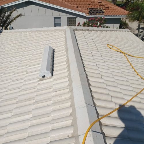 Roof Cleaning in Port Charlotte, FL